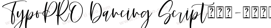 TypoPRO Dancing Script转换器字体转换